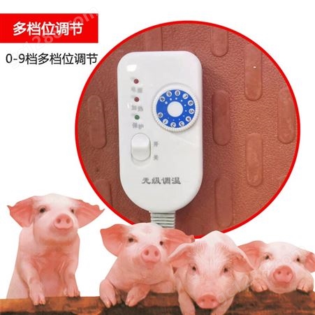 猪用电热板 养殖电热板 仔猪电热板 千惠热力厂家直供