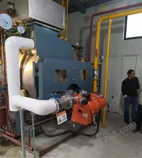 LHS0.5苏州立式蒸汽锅炉 燃气蒸汽锅炉 电蒸汽锅炉 小型蒸汽发生器 卧式低氮蒸汽锅炉