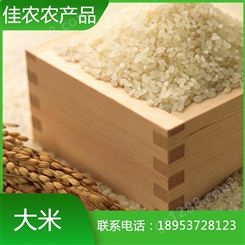 山东大米厂家现货直销珍珠米 圆粒大米  量大从优