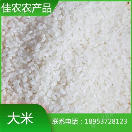 山东米厂加工批发珍珠米 袋装大米 米厂直销 量大优惠