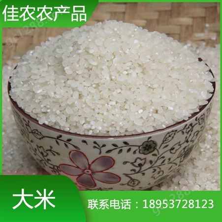 山东米厂加工批发珍珠米 袋装大米 米厂直销 量大优惠