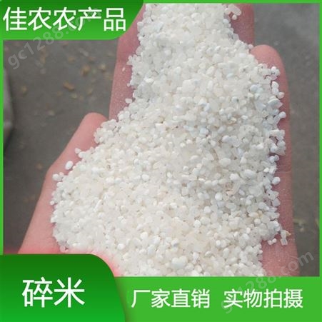 大量现货供应优质碎米 粥米 量大优惠