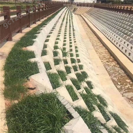 塑料护坡模具植草式护坡模具水利阶梯护坡模具长期供应