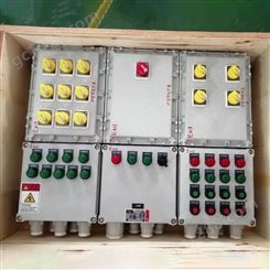 13回路带总开防爆配电箱BXM（D）51-13K 油泵房防爆照明配电箱