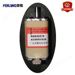 RSM05MZ80KN熔断器订做-FENLONG品牌