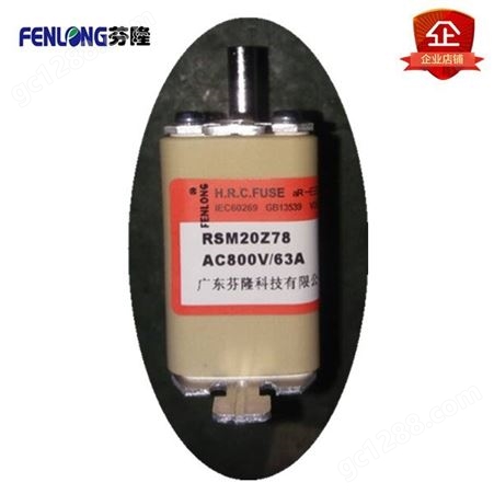 RSM05MZ80KN熔断器订做-FENLONG品牌