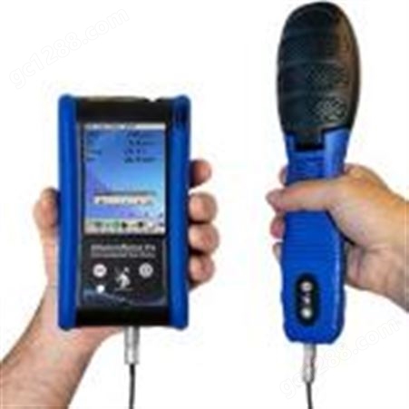 DSII手持式VOCs及有毒气体检测仪