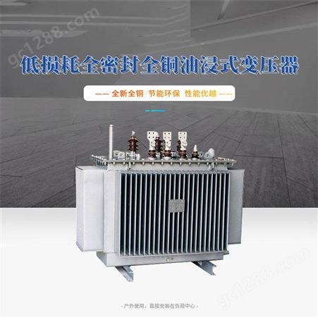 S13-250KVA/10KV/0.4KV油浸式变压器价格 S13系列变压器定制厂家