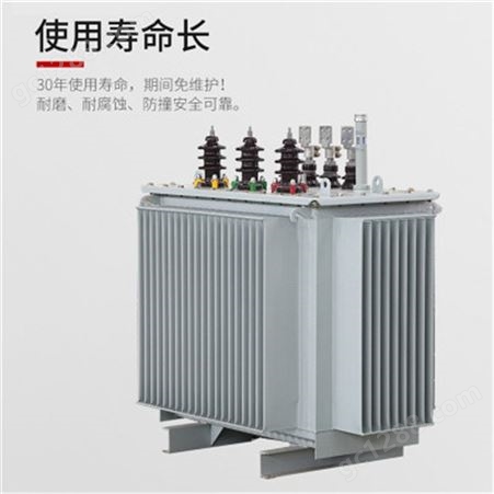 高压油浸式变压器 高压电力变压器 油浸式节能变压器 价格实惠