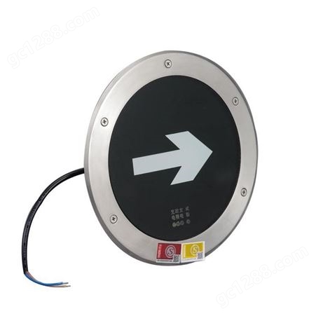 坚瑞新国标 LED应急地上安装灯 可编程控制可频闪开关灯声光故障报警