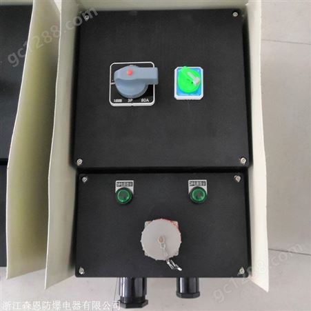 BXM(D)8050防爆防腐配电箱 三防照明动力配电箱