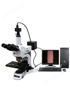 焊带检测显微镜系统