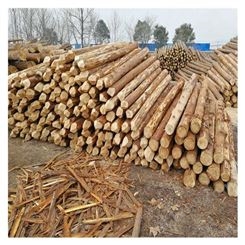 秋名山木业 收购2米正材 松木原木 杉木原木 木材加工