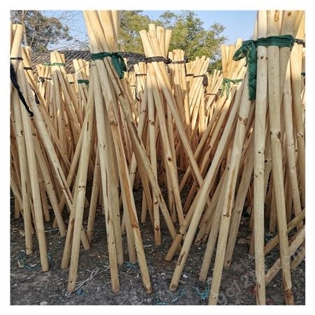 遂宁木材加工 4分杉木树木支撑松木杆 松木棍批发出售