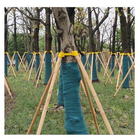 树木支撑杆批发 松木杆木棍 木材加工 杉木杆 树苗支撑架