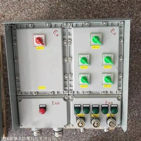 BXM52武汉新黎名 防爆照明配电箱 消防应急