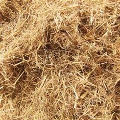 边坡草纤维 嵩杰草纤维 草纤维增加有机质 