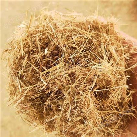 边坡草纤维 嵩杰草纤维 草纤维提高出芽率 