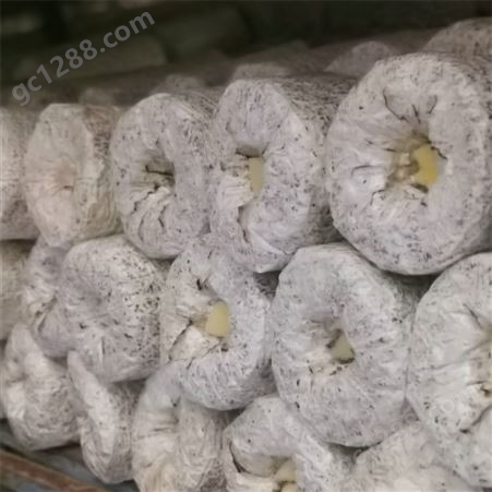 联盛 食用菌黑皮鸡枞菌基地 北京鸡枞鲜货 生产厂家