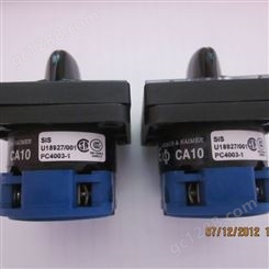 代理销售奥地利蓝系列开关CA10-PC3252-1控制开关 供应
