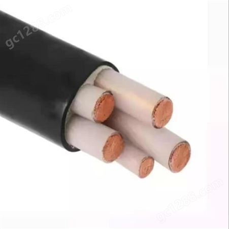  弘泰线缆一枝秀 铜芯低压铠装电力电缆YJV 4*16+1