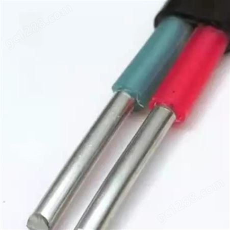  弘泰线缆一枝秀 防老化电缆铝芯电缆铝护套电线电缆BLVVB 2*10
