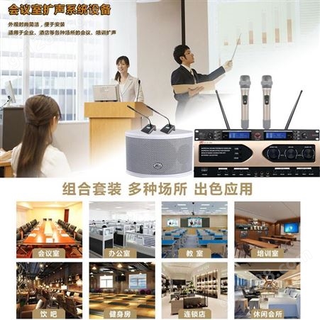 帝琪无线会议话筒厂家多媒体报告厅扩声系统设备QI-3889