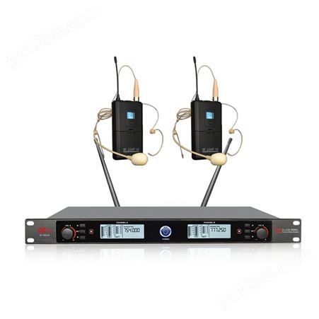 帝琪扩音系统供应厂音视频会议系统品牌设备一拖二无线台式会议话筒DI-3802A