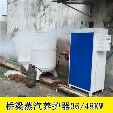 广东中山桥梁蒸汽养护设备全自动蒸汽养护机