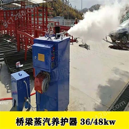 江西鹰潭全自动电加热蒸汽发生器36kw桥梁养护器