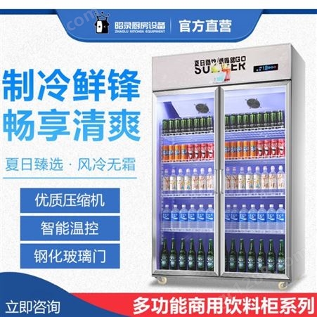 立式冷冻冷藏柜按需定制 鲜自天然 立式冷冻冷藏柜定做