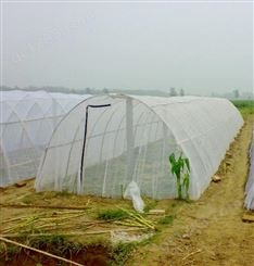 【润石】供应蚂蚱网    蝗虫专用网    蝗虫网    优质蝗虫网生产厂家