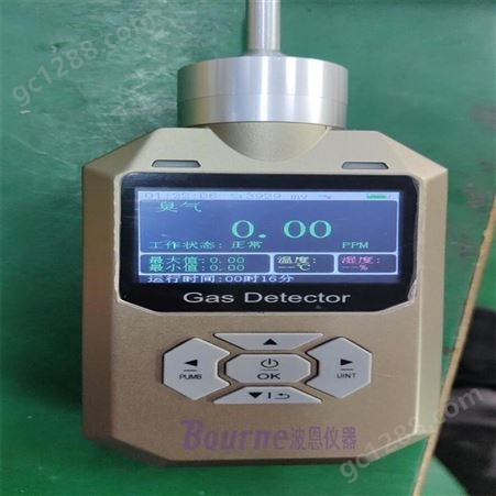 波恩仪器便携式甲烷检测仪BN-500CH4 红外甲烷气体分析仪 CH4泄露探测仪 甲烷测定仪
