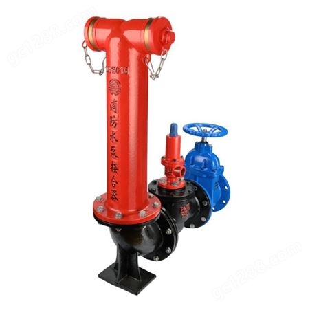 按需定制消防水泵接合器 多用式地上/地下消防水泵接合器