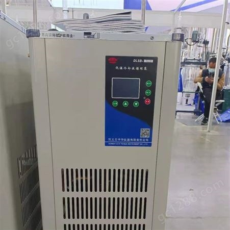 DLSB-10L低温冷却液循环泵 予华仪器