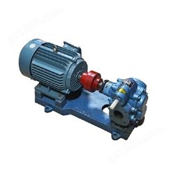 不锈钢齿轮油泵结构 防爆齿轮式输油泵 齿轮式不锈钢输油泵