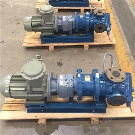 高粘度泵 求实创新 新品推荐 不锈钢转子泵 保温高粘度泵