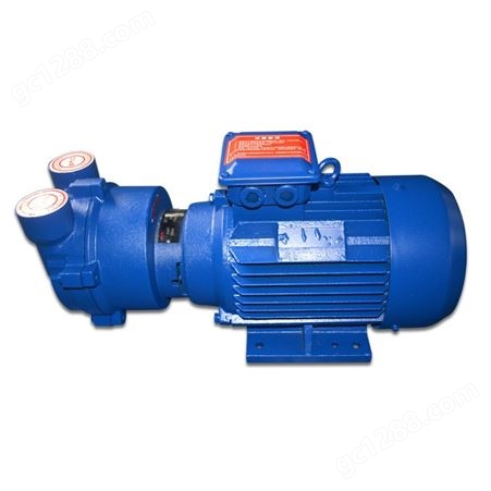 2BV系列水环式真空泵价格 不锈钢直式水环真空泵 真空泵定做