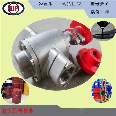 KCB55齿轮泵   微型电动油泵  洗涤剂输送泵