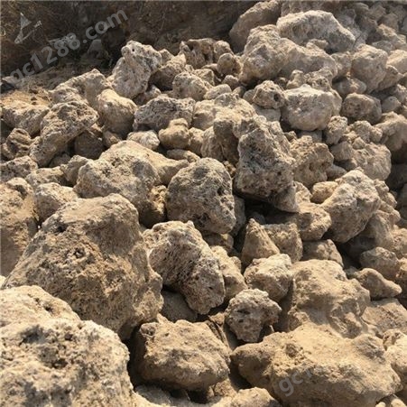 厂家矿山直供 上水石 吸水石 麦管石原石