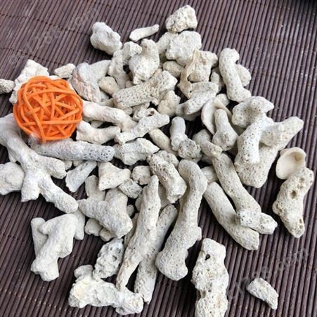 质量保证珊瑚骨 供应珊瑚砂 种植用珊瑚砂