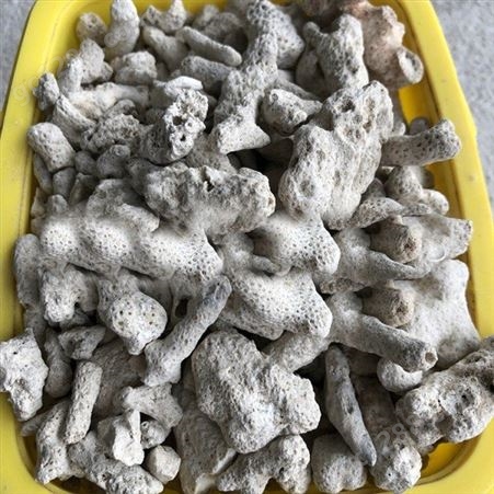 珊瑚砂 水族珊瑚骨鱼缸滤材 珊瑚砂珊瑚石