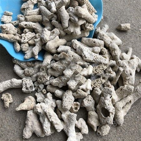 珊瑚砂 水族珊瑚骨鱼缸滤材 珊瑚砂珊瑚石