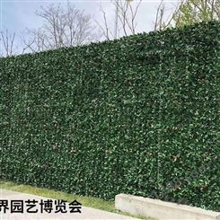 生态植物墙施工