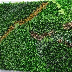 立体生态植物墙安装