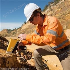 广东用于检测合金与金属的DELT分析仪 地质分析仪