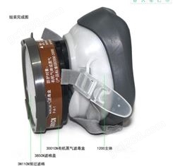 3M  1201 半面具 尘毒呼吸防护套装（有机蒸气防护）