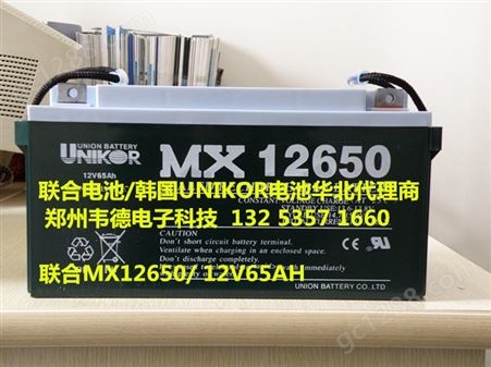 韩国联合 UNIKOR电池MX12650 12V65AH 直流屏 EPS UPS专用