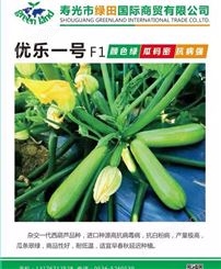 适合甘肃宁夏新疆种植的西葫芦品种