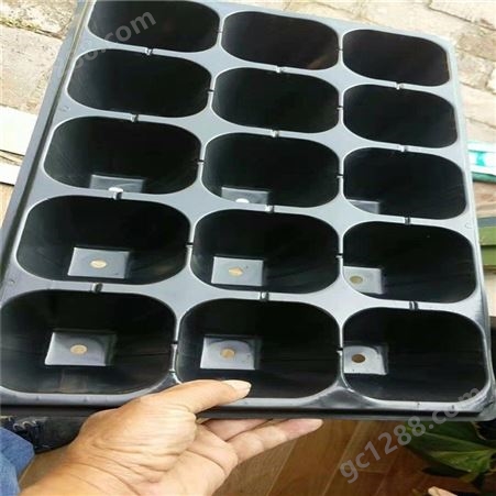 塑料育苗盘 多功能品质育苗盒 黑色多肉育苗穴盘 不易变形可重复使用
